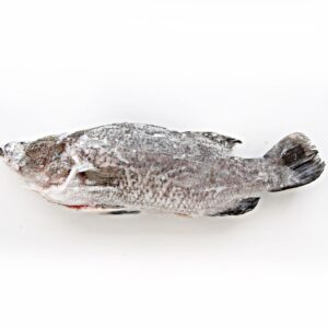 F-1 山泉水鱸魚 (整尾)