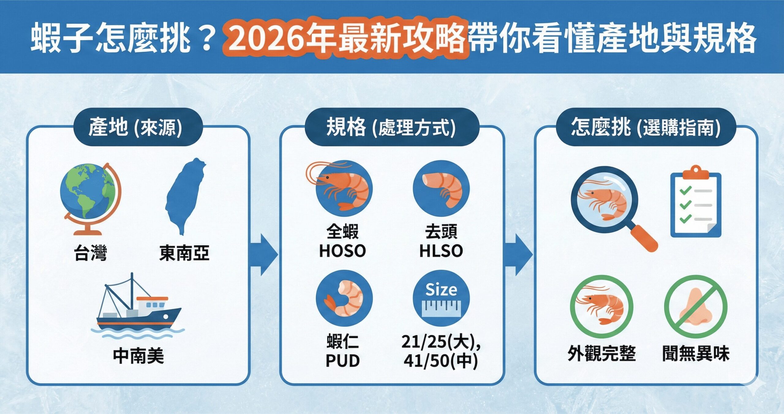 蝦子怎麼挑？2026年最新攻略帶你看懂產地與規格