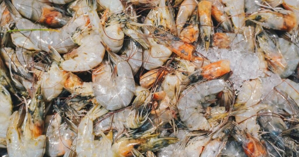 冷凍蝦怎麼選？了解蝦的「產地」為何如此重要？