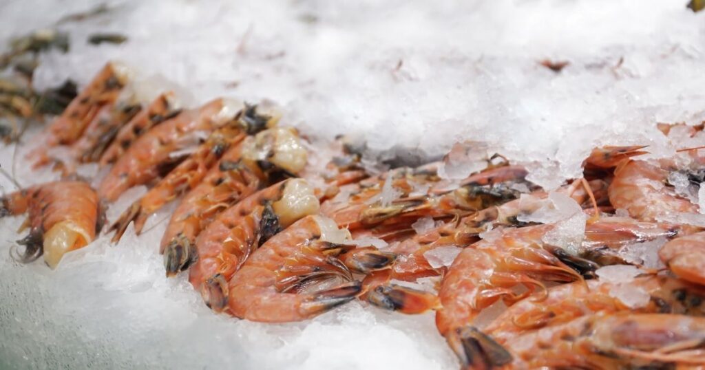 冷凍蝦與新鮮活蝦哪個新鮮？活蝦不一定比急凍蝦新鮮!
