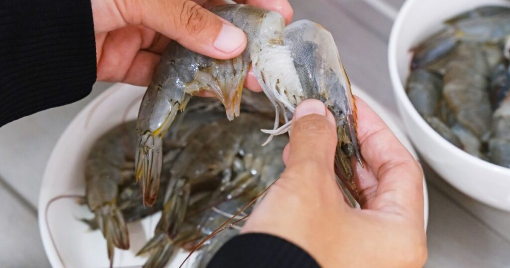 檢查要點二：蝦殼與外觀