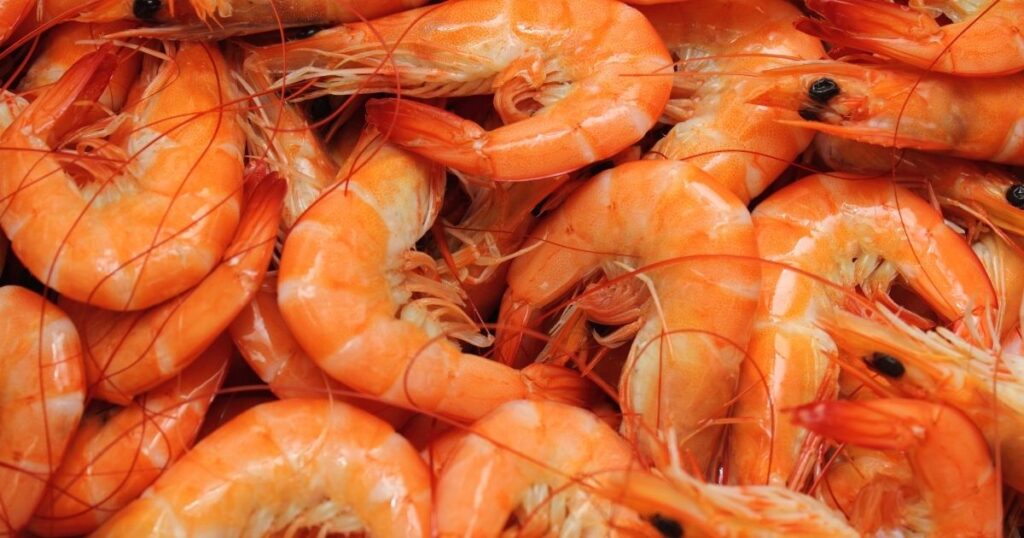 知識二：蝦殼要不要剝？口感與烹調的平衡